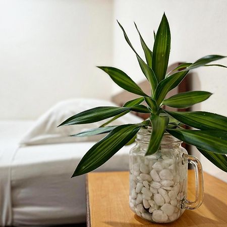 Town Inn Hotel - Rainforest Jerantut Zewnętrze zdjęcie
