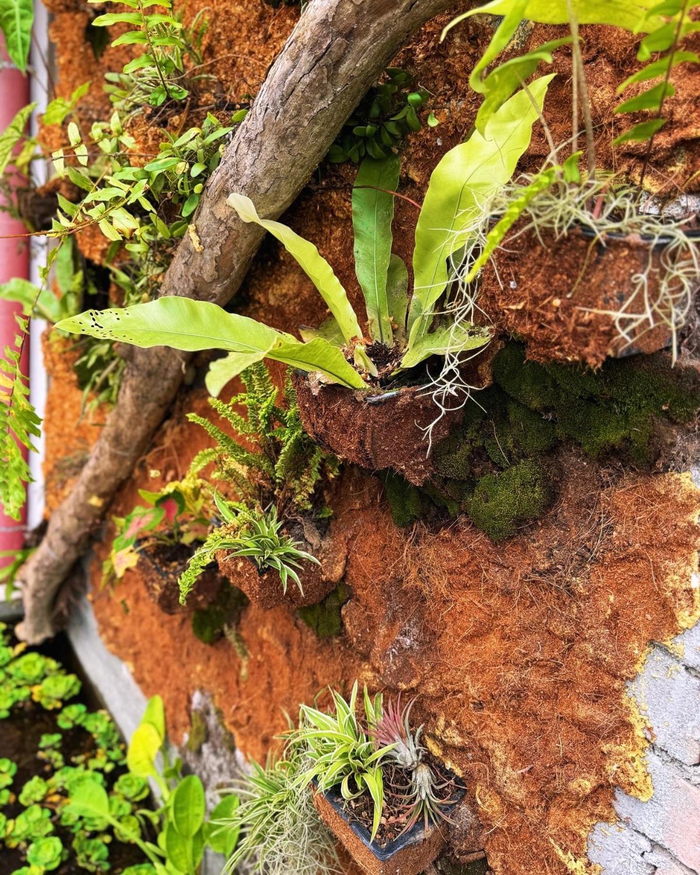 Town Inn Hotel - Rainforest Jerantut Zewnętrze zdjęcie